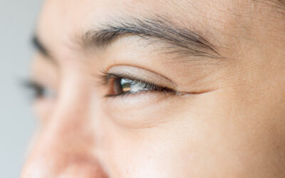 ¿Cuánto tardan las cejas en crecer?
